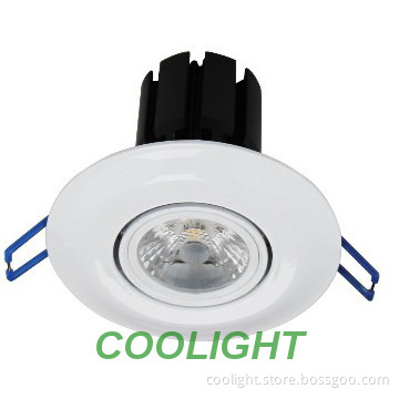 Australia Market 12W LED COB Ceiling Light